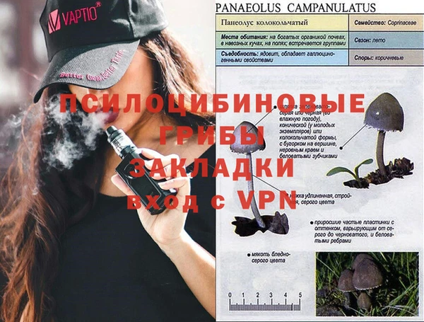 мяу мяу мука Инта