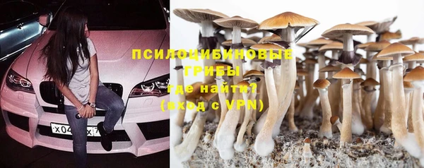 мяу мяу мука Инта