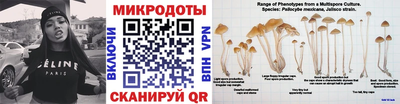 Купить где  Усть-Кут  Галлюциногенные грибы Psilocybe 